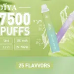 DIYA7500口拋棄式電子煙｜輕盈設計穩定輸出